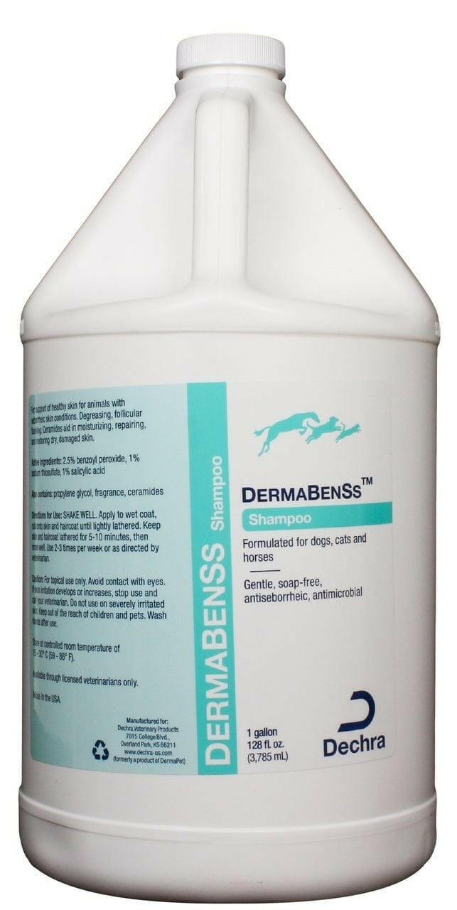 DermaBenSs Shampoo