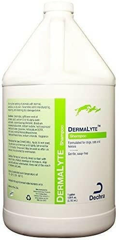 DermaLyte Shampoo