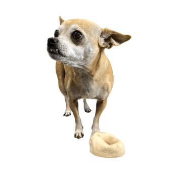 Small Dog Treat Party Pack