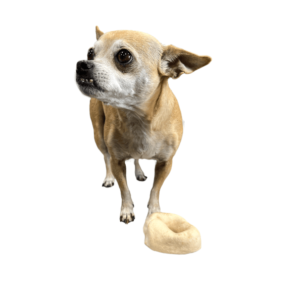 Small Dog Treat Party Pack