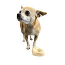 Vanilla Rawhide Donut