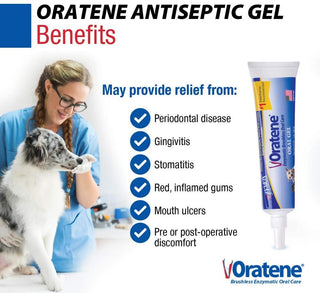 Oratene Brushless Oral Gel for Dogs & Cats (1oz)