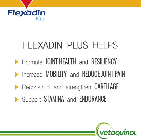 Flexadin Plus Soft Chews for Large Dogs (90 chews)