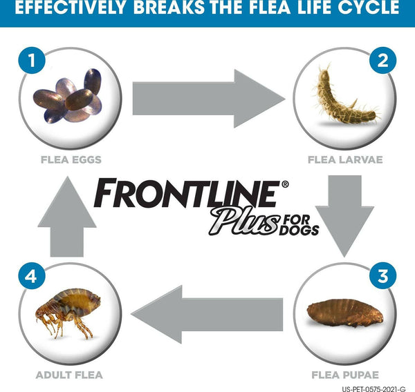 Frontline Plus for Medium Dogs (23-44 lbs) Blue Box