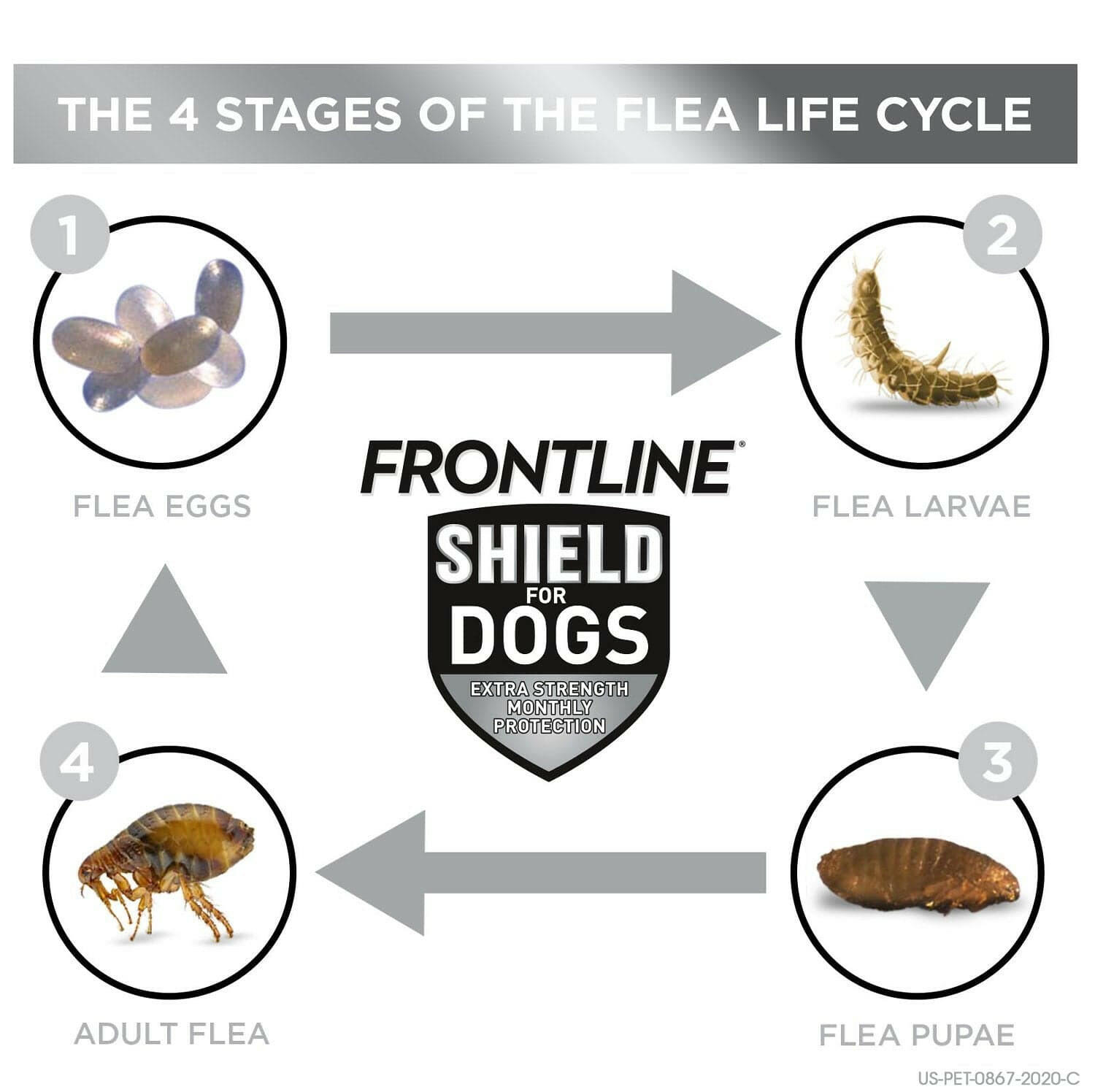 Frontline Shield for Large Dogs (41-80 lbs)