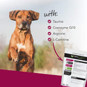 VetriScience Vetri Cardio Canine Heart Supplement for Dogs (60 soft chews)