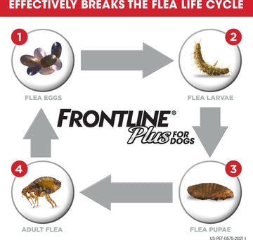 Frontline Plus for Extra Large Dogs (89-132 lbs) Red Box