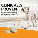 VetriScience GlycoFlex Stage 3 Joint Supplement for Dogs (120 chewable tablets)