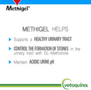 methigel for dogs and cats