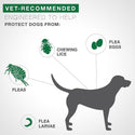 Advantage II Flea Control for Medium Dogs (11-20 lbs) Teal Box