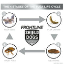 Frontline Shield for Small Dogs (11-20 lbs)