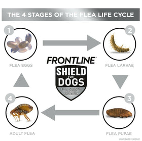 Frontline Shield for Small Dogs (11-20 lbs)
