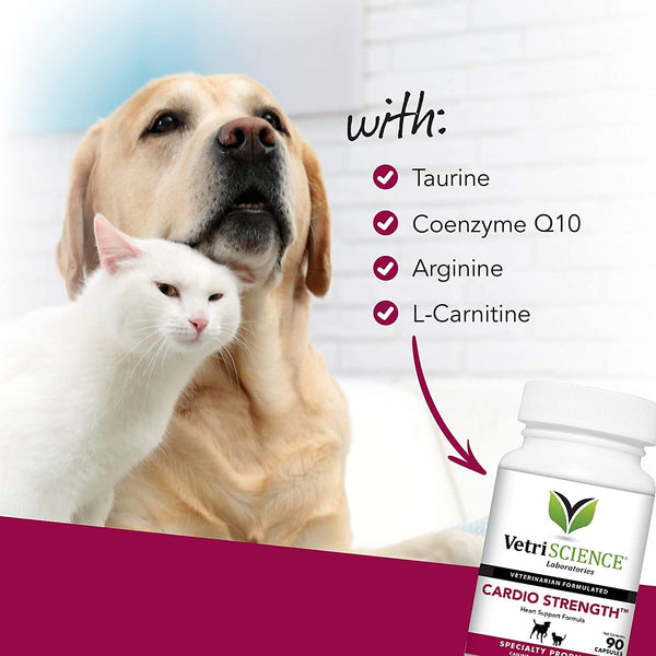 VetriScience Cardio Strength Heart Supplement for Cats & Dogs (90 caps)