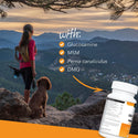 VetriScience GlycoFlex Stage 3 Joint Supplement for Dogs (120 chewable tablets)