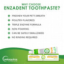 Enzadent Enzymatic Poultry-Flavored Toothpaste for Dogs & Cats (90g tube)