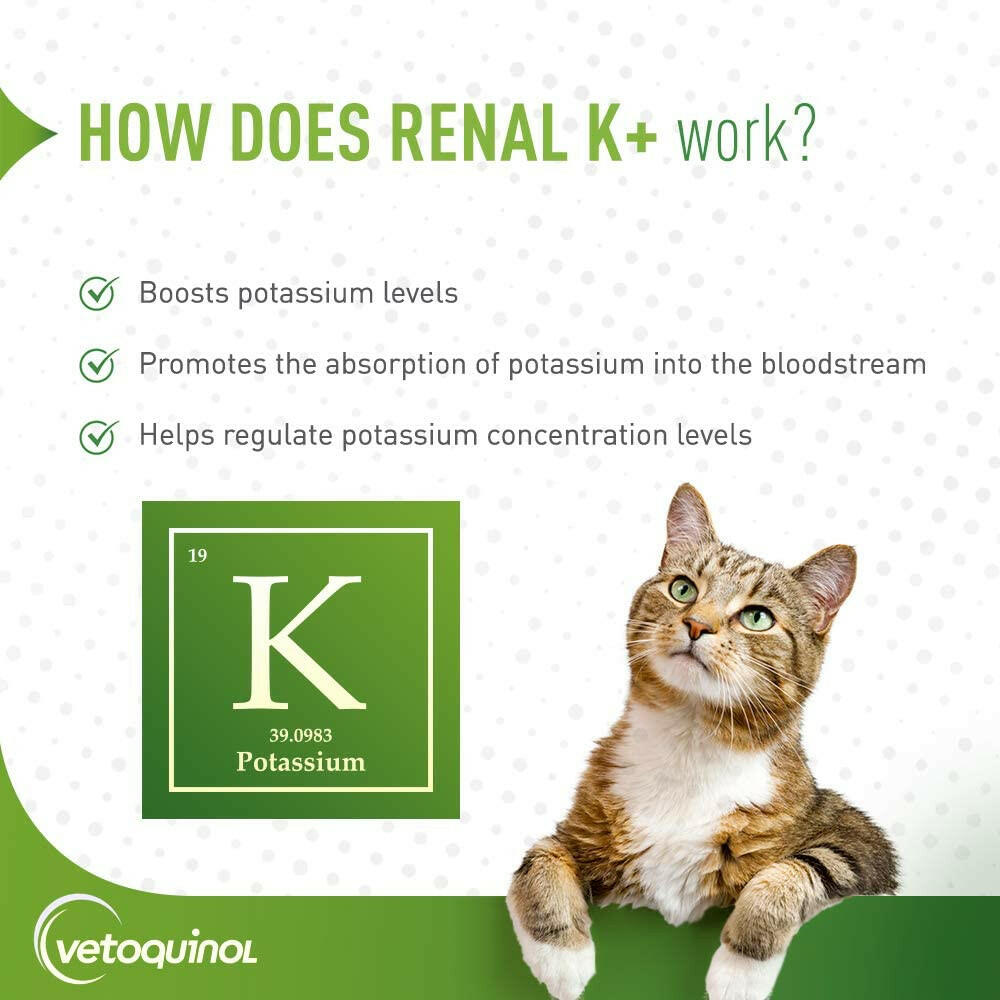 Renal K+ Powder Kidney Supplement for Cats & Dogs (100g)