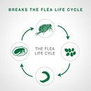 Advantage II Flea Control for Small Dogs (under 10 lbs) Green Box