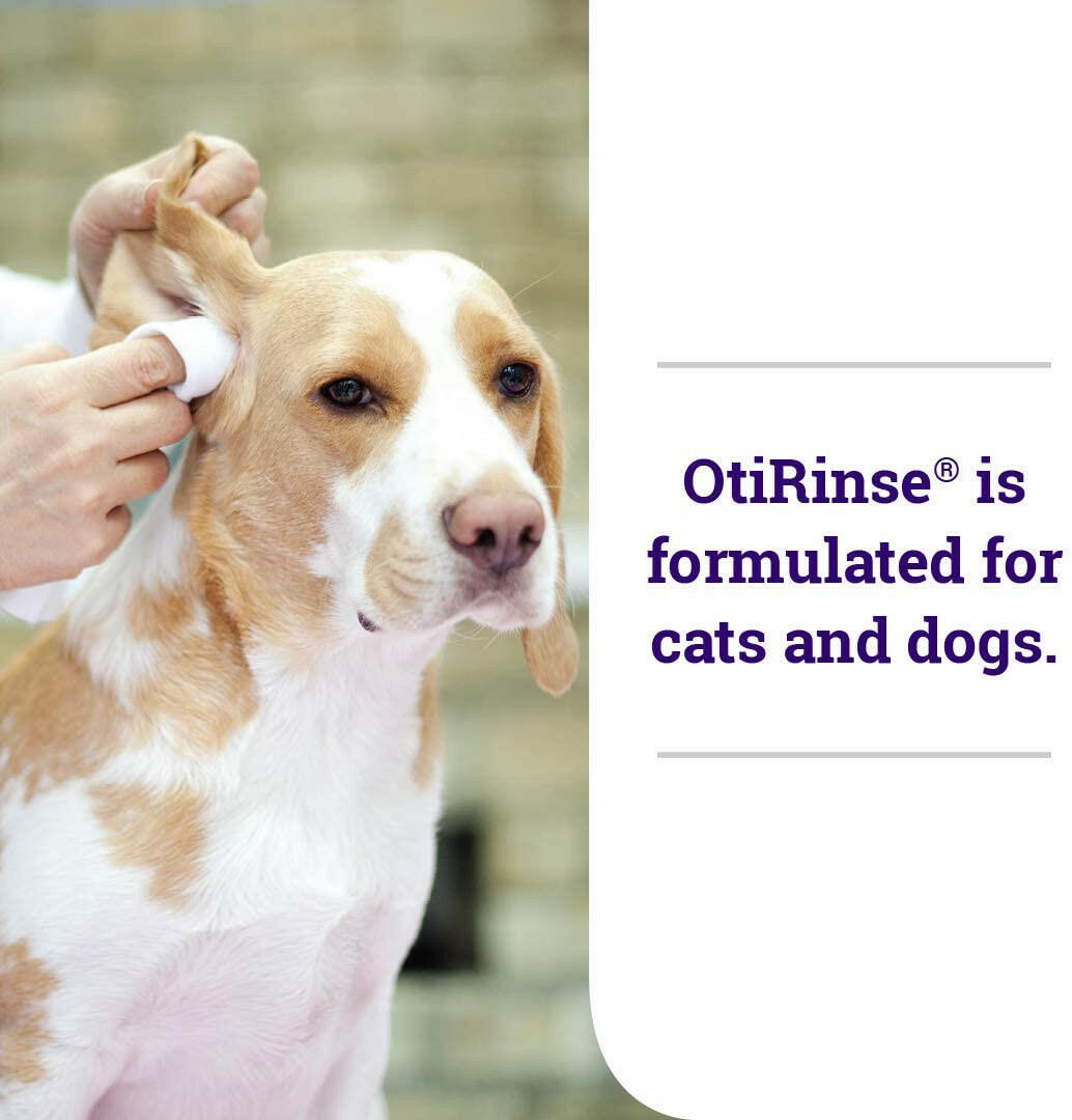 OtiRinse Ear Cleansing/Drying Solution for Dogs & Cats (8 oz)