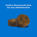 DVM Daily Soft Chews Multi Vitamin for Dogs (120 chew)