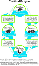 Advantage Household Fogger (3 pack)