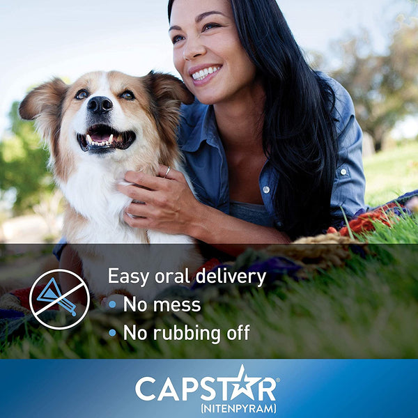 Capstar Flea Oral Treatment for Dogs over 25 lbs (6 Doses)