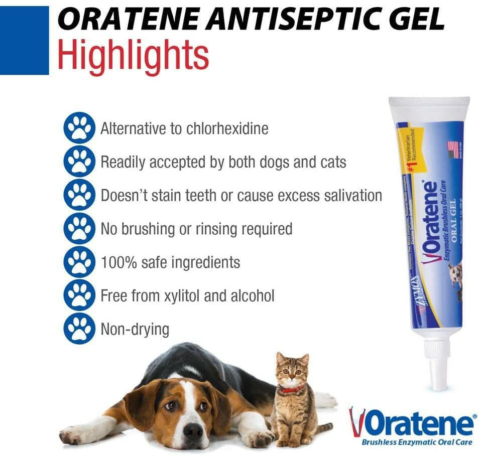 Oratene Brushless Oral Gel for Dogs & Cats (1oz)