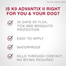 K9 Advantix II for Small Dogs (4 -10 lbs) Green Box