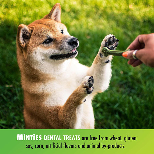 VetIQ Minties Medium/Large Dental Bone Dog Treats