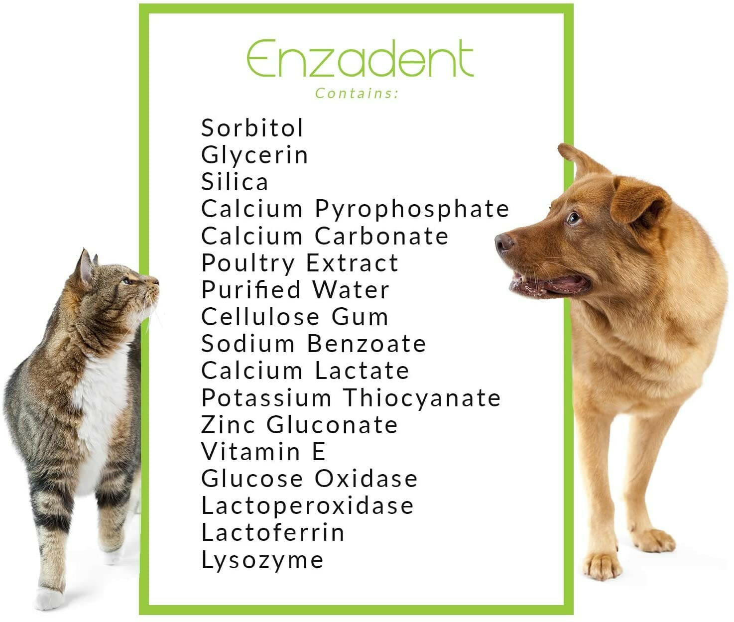 Enzadent Enzymatic Poultry-Flavored Toothpaste for Dogs & Cats (90g tube)