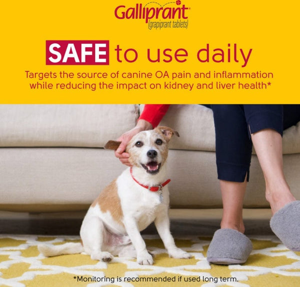 Galliprant Tablets, 100mg Happy Puppy 