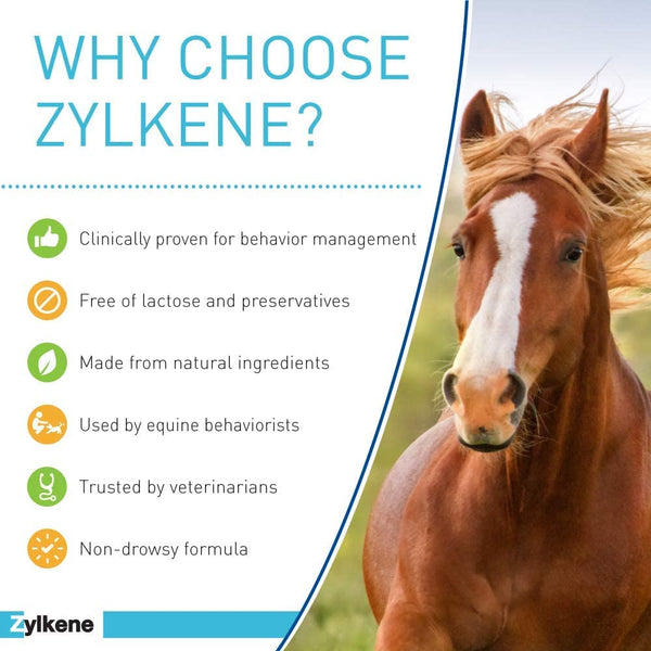 Zylkene Equine Behavior Support for Horses (20 packets)