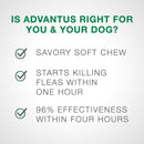 Advantus Flea Oral Treatment for Large Dogs (23-110 lbs)