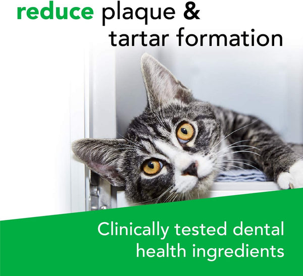 VetriScience Perio Plus Feline Dental Bites (60 count)