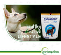 Flexadin Plus Soft Chews for Large Dogs (90 chews)