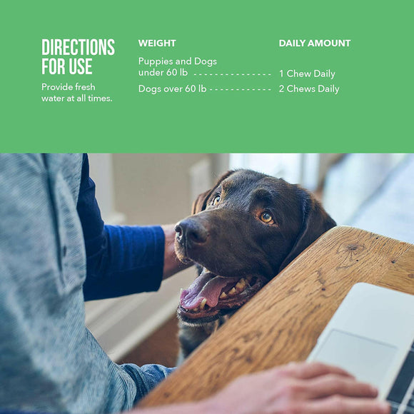 Lactoquil Digestive Health for Dogs (75 soft chews)