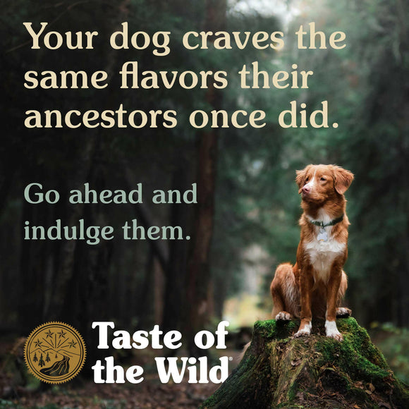 Taste of the Wild High Prairie Roasted Bison & Venison Dry Dog Food