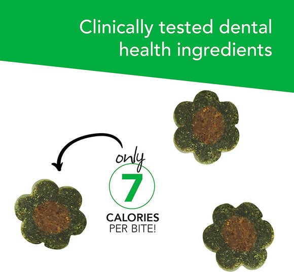 VetriScience Perio Plus Feline Dental Bites (60 count)