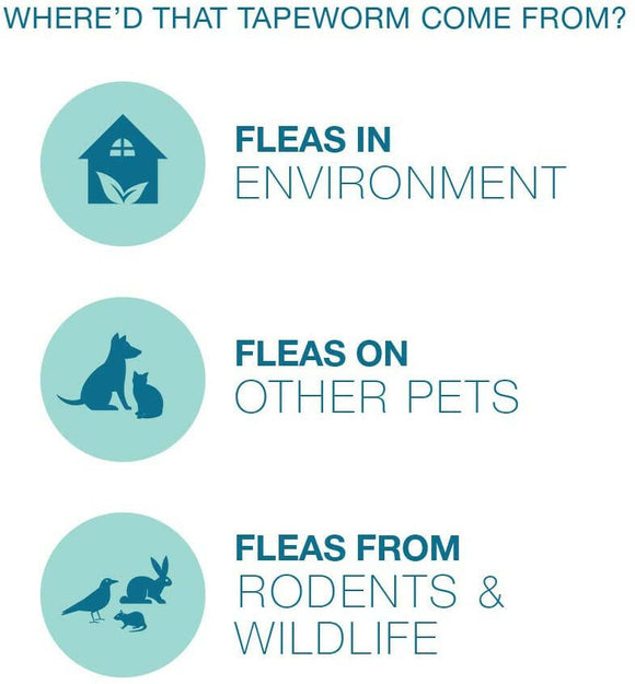 Tapeworm Dewormer for Cats (3 Tablets)