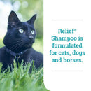 Relief Shampoo