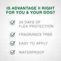 Advantage II Flea Control for Small Dogs (under 10 lbs) Green Box