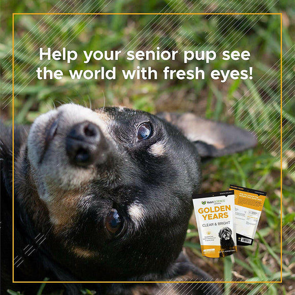 VetriScience Golden Years Clear and Bright Eye Health for Senior Dogs (60 soft chews)