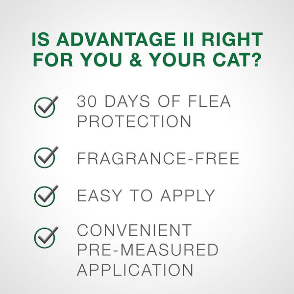 Advantage II Flea Control for Kittens 2-5 lbs (2 doses, 2 mos. supply) Teal Box