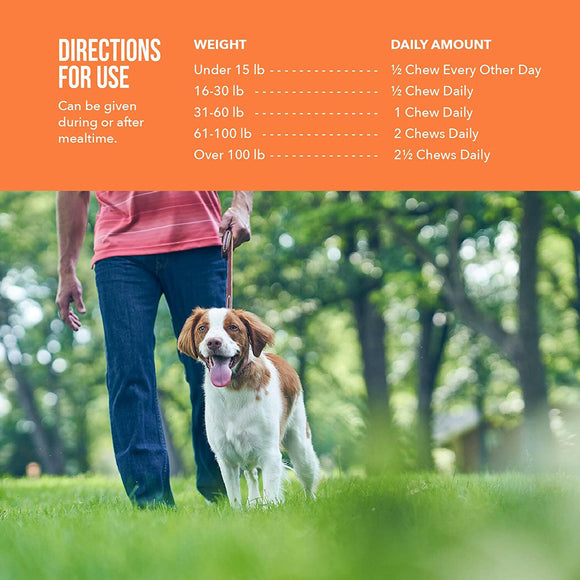 Synovi G4 Soft Chews Joint Supplement for Dogs