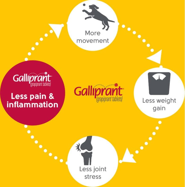 Galliprant Tablets, 100mg circle of relief 