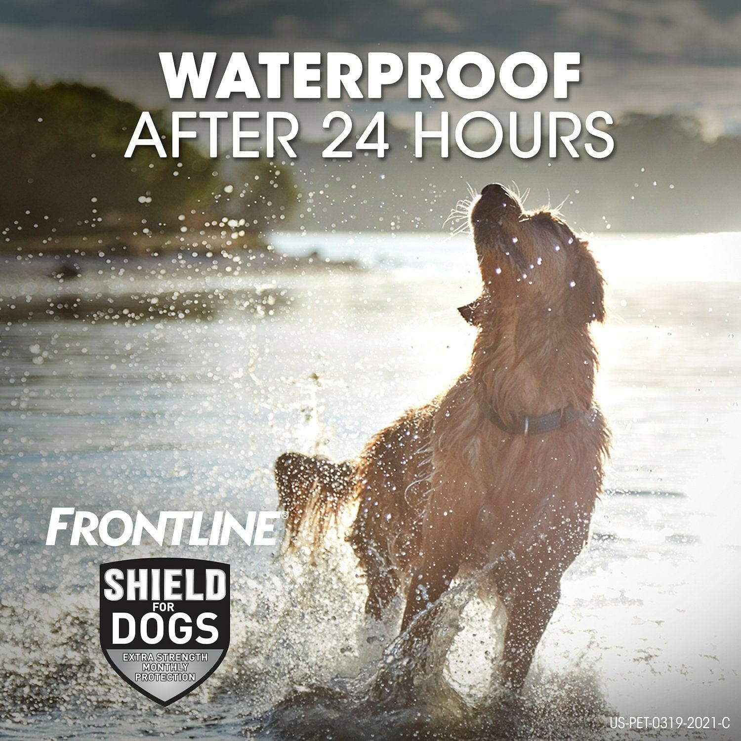 Frontline Shield for Extra Large Dogs (81-120 lbs)