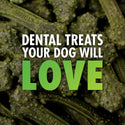 VetIQ Minties Medium/Large Dental Bone Dog Treats