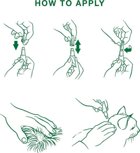 Advantage II Flea Control for Kittens 2-5 lbs (2 doses, 2 mos. supply) Teal Box