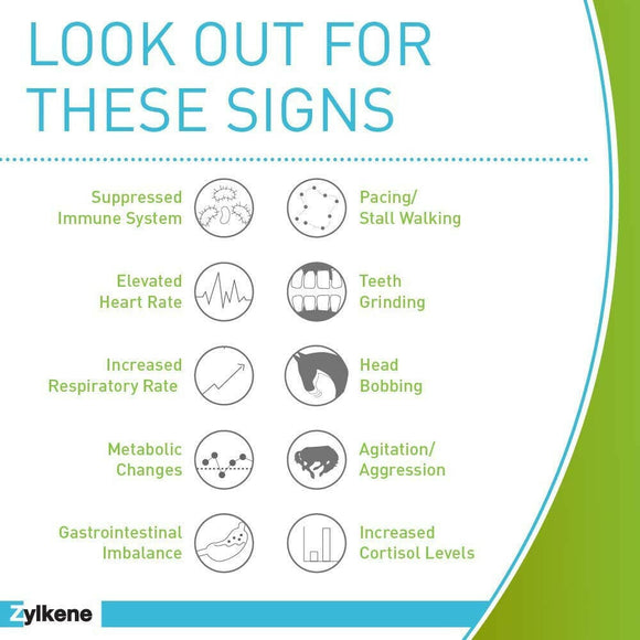 Zylkene Equine Behavior Support for Horses (20 packets)