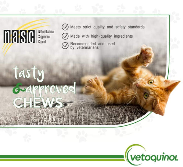 Flexadin Plus Soft Chews for Cats & Small Dogs (90 chews)