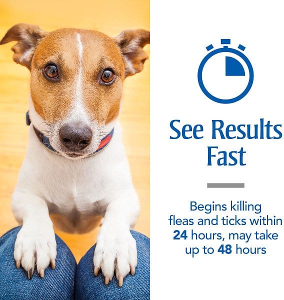 PetArmor Plus Flea & Tick Spot Treatment for Dogs, 5-22 lbs